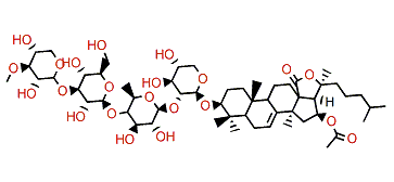 Cucumarioside A15